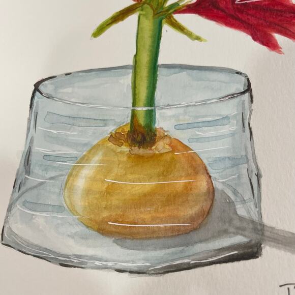 Hand painted watercolor original painting Christmas lily - Picture 3 of 4